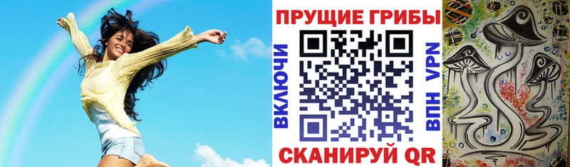 mega онион Кочубеевское Псилоцибиновые грибы Cubensis закладка